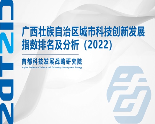 车北东北肥女逼逼视频【成果发布】广西壮族自治区城市科技创新发展指数排名及分析（2022）